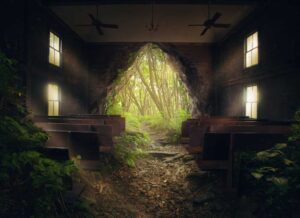 An empty church in the forest with overgrown trees.